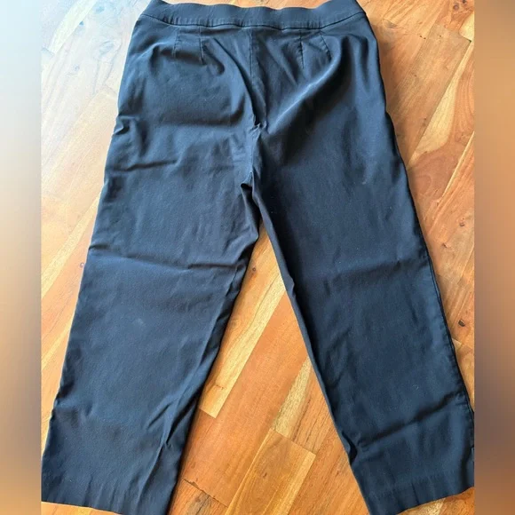 Counterparts Black Pull on Capri Pant with Buttom Hem Detail - Picture 4 of 5